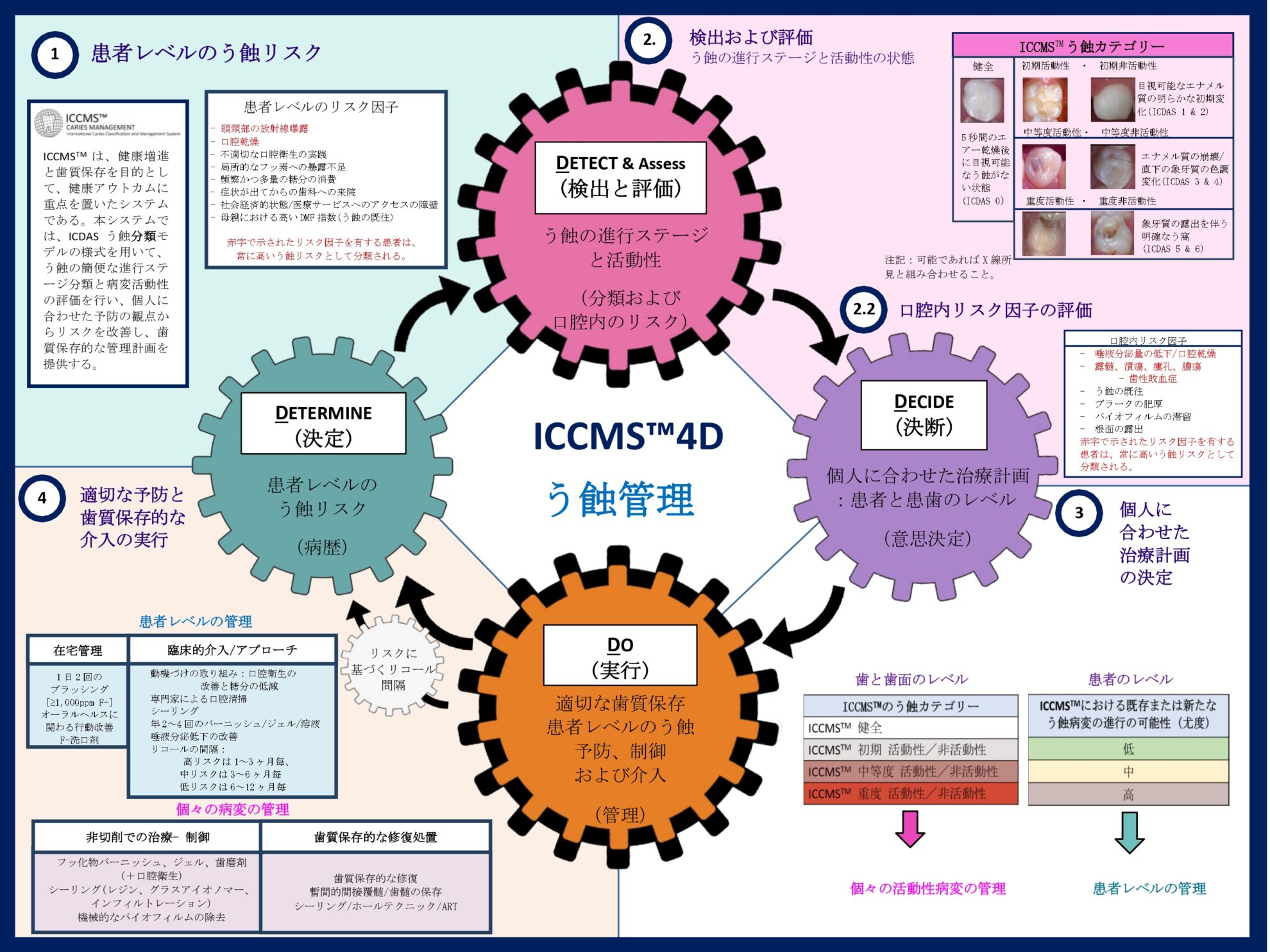 ICCMS/ICDASによるう蝕の進行ステージと管理の考え方(出典:ICCMS™)